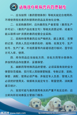 药品宠物展板设计指南 基于PSD分层素材的制作思路
